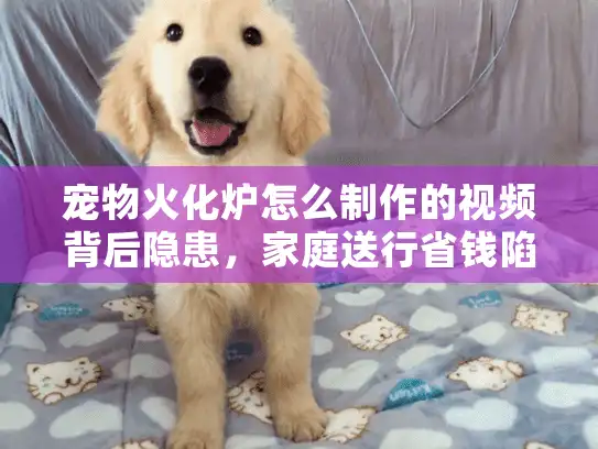 宠物火化炉怎么制作的视频背后隐患，家庭送行省钱陷阱揭秘