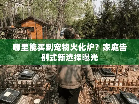 哪里能买到宠物火化炉？家庭告别式新选择曝光