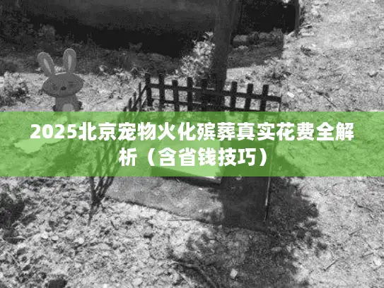 2025北京宠物火化殡葬真实花费全解析(含省钱技巧) 2025北京宠物火化殡葬真实花费全解析(含省钱技巧)
