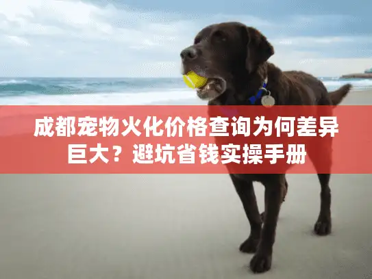 成都宠物火化价格查询为何差异巨大?避坑省钱实操手册 成都宠物火化价格查询为何差异巨大?避坑省钱实操手册