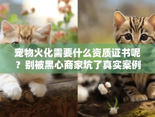 宠物火化需要什么资质证书呢？别被黑心商家坑了真实案例分享