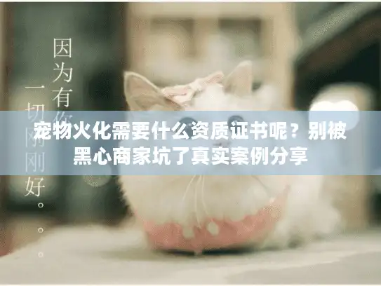 宠物火化需要什么资质证书呢？别被黑心商家坑了真实案例分享