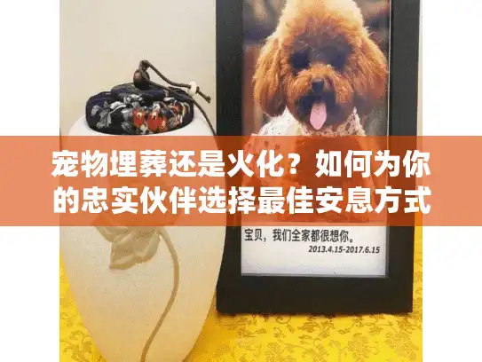 宠物埋葬还是火化？如何为你的忠实伙伴选择最佳安息方式