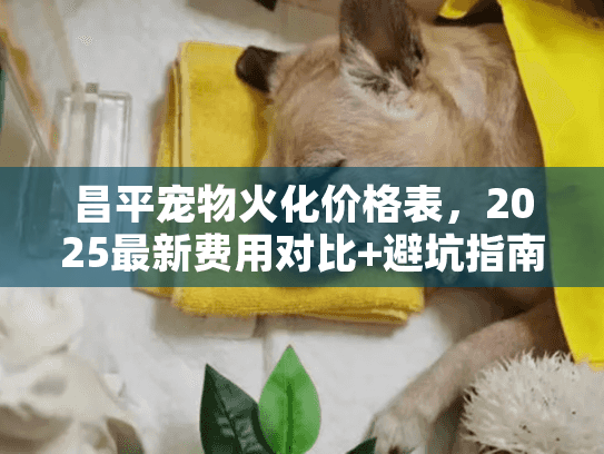 昌平宠物火化价格表,2025最新费用对比+避坑指南 昌平宠物火化价格表,2025最新费用对比+避坑指南