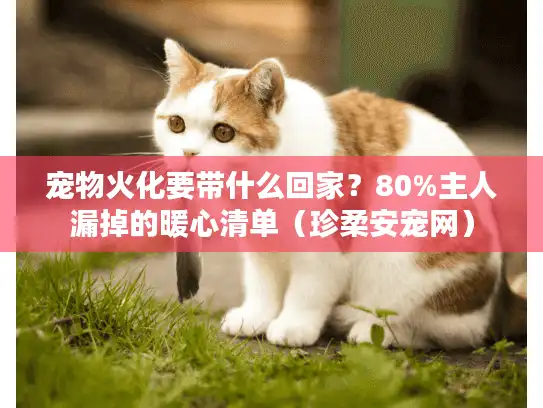 宠物火化要带什么回家？80%主人漏掉的暖心清单（珍柔安宠网）