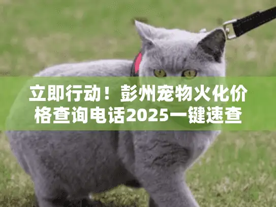 立即行动！彭州宠物火化价格查询电话2025一键速查秘诀