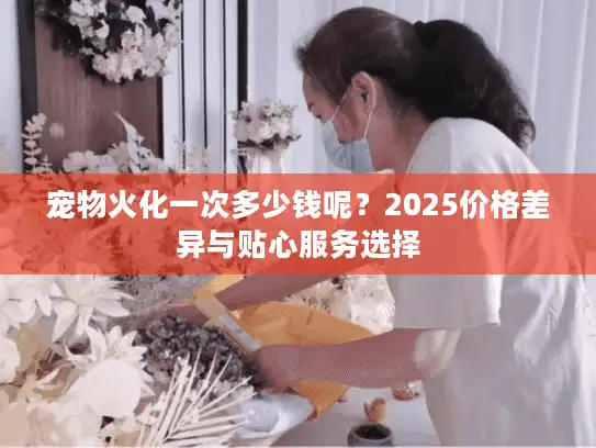 宠物火化一次多少钱呢？2025价格差异与贴心服务选择