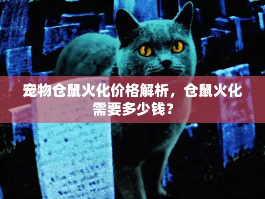 宠物仓鼠火化价格解析,仓鼠火化需要多少钱? 宠物仓鼠火化价格解析,仓鼠火化需要多少钱?