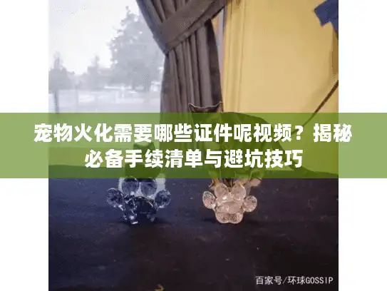 宠物火化需要哪些证件呢视频？揭秘必备手续清单与避坑技巧