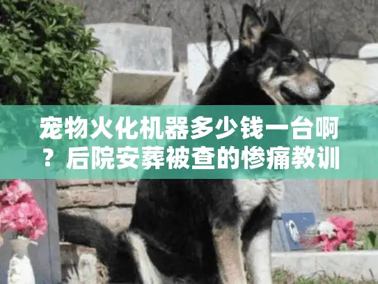 宠物火化机器多少钱一台啊？后院安葬被查的惨痛教训让我算清这笔帐