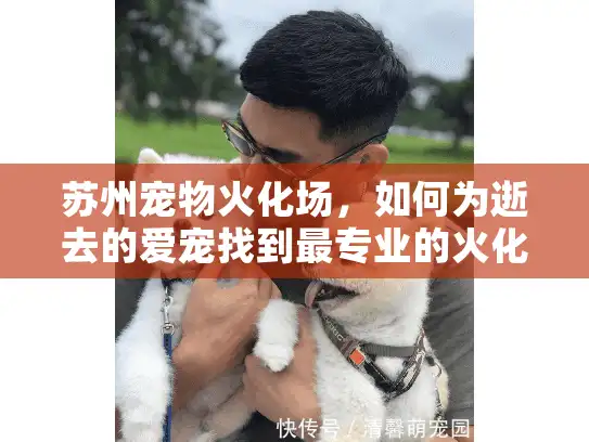 苏州宠物火化场，如何为逝去的爱宠找到最专业的火化服务？