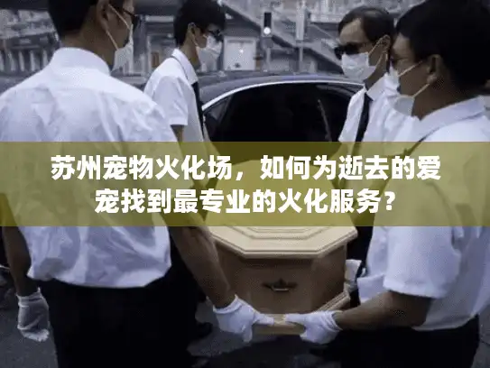 苏州宠物火化场，如何为逝去的爱宠找到最专业的火化服务？