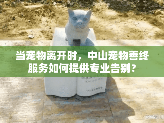 当宠物离开时，中山宠物善终服务如何提供专业告别？