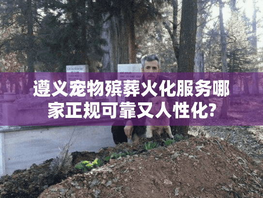 遵义宠物殡葬火化服务哪家正规可靠又人性化?