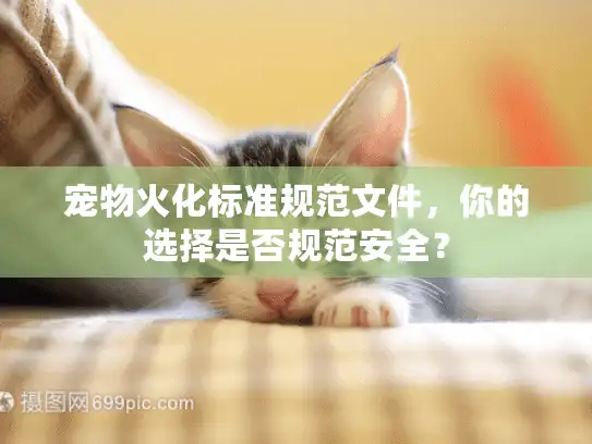 宠物火化标准规范文件，你的选择是否规范安全？