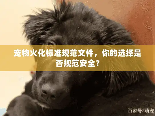 宠物火化标准规范文件，你的选择是否规范安全？