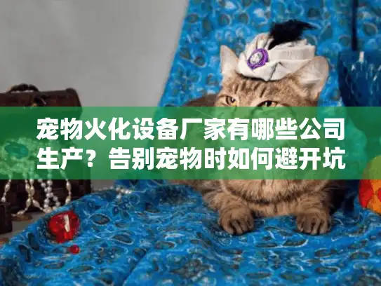 宠物火化设备厂家有哪些公司生产？告别宠物时如何避开坑点选对服务