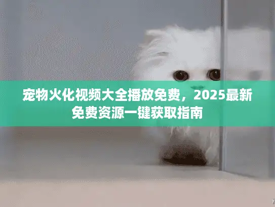 宠物火化视频大全播放免费，2025最新免费资源一键获取指南
