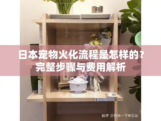 日本宠物火化流程是怎样的？完整步骤与费用解析