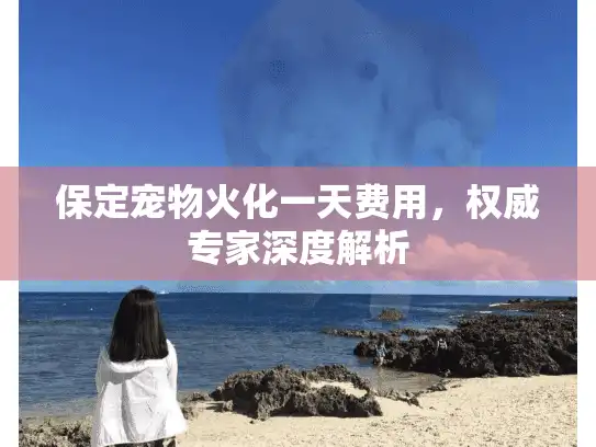 保定宠物火化一天费用，权威专家深度解析