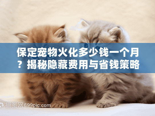 保定宠物火化多少钱一个月？揭秘隐藏费用与省钱策略
