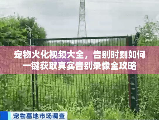 宠物火化视频大全，告别时刻如何一键获取真实告别录像全攻略