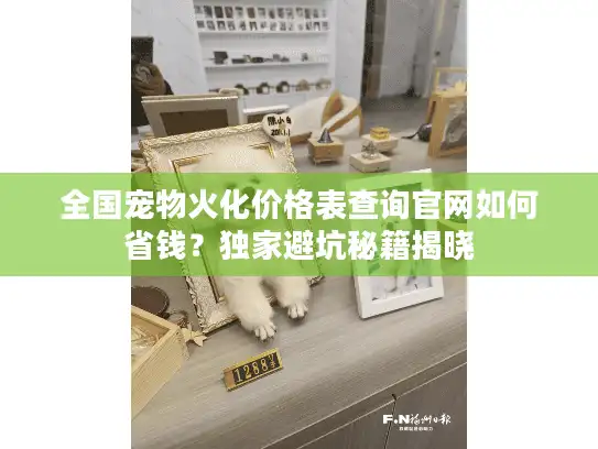 全国宠物火化价格表查询官网如何省钱?独家避坑秘籍揭晓 全国宠物火化价格表查询官网如何省钱?独家避坑秘籍揭晓