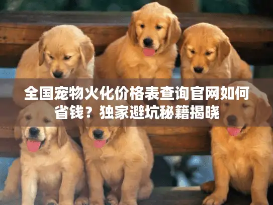 全国宠物火化价格表查询官网如何省钱?独家避坑秘籍揭晓 全国宠物火化价格表查询官网如何省钱?独家避坑秘籍揭晓