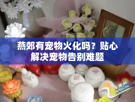 燕郊有宠物火化吗?贴心解决宠物告别难题 燕郊有宠物火化吗?贴心解决宠物告别难题