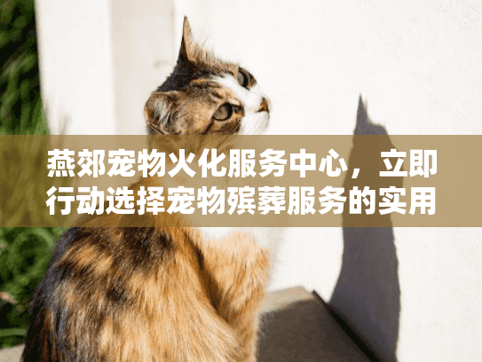 燕郊宠物火化服务中心，立即行动选择宠物殡葬服务的实用秘诀