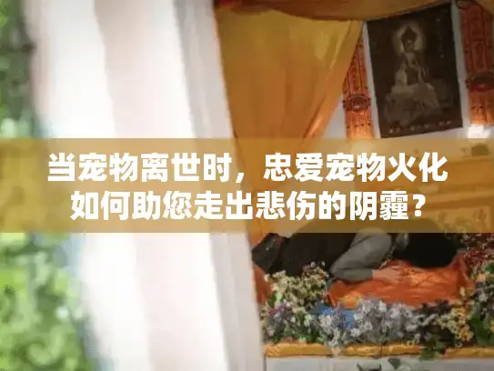 当宠物离世时,忠爱宠物火化如何助您走出悲伤的阴霾? 当宠物离世时,忠爱宠物火化如何助您走出悲伤的阴霾?