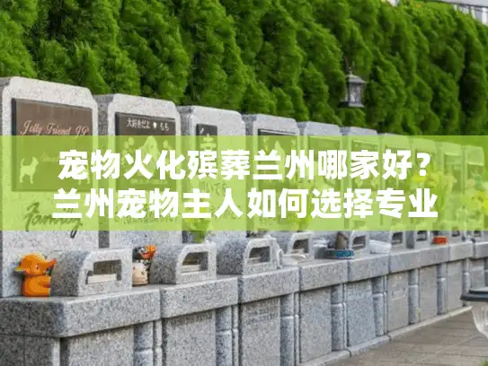宠物火化殡葬兰州哪家好？兰州宠物主人如何选择专业服务