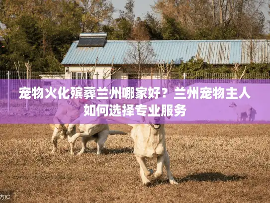 宠物火化殡葬兰州哪家好？兰州宠物主人如何选择专业服务