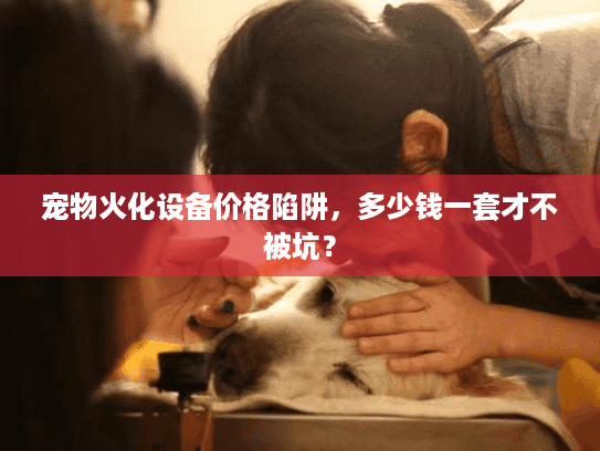 宠物火化设备价格陷阱,多少钱一套才不被坑? 宠物火化设备价格陷阱,多少钱一套才不被坑?