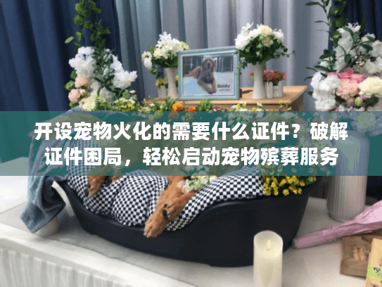 开设宠物火化的需要什么证件？破解证件困局，轻松启动宠物殡葬服务