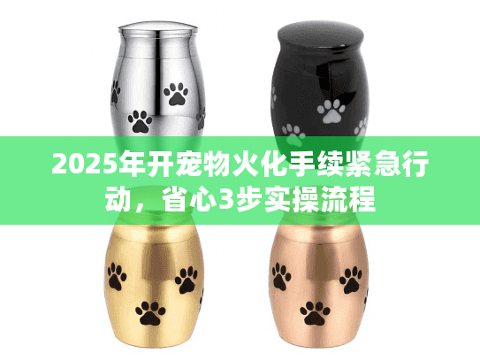 2025年开宠物火化手续紧急行动，省心3步实操流程