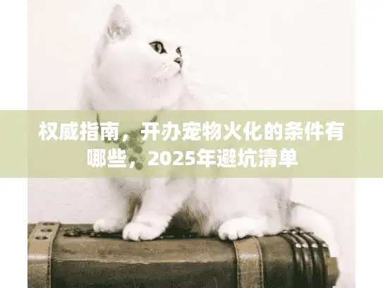 权威指南，开办宠物火化的条件有哪些，2025年避坑清单
