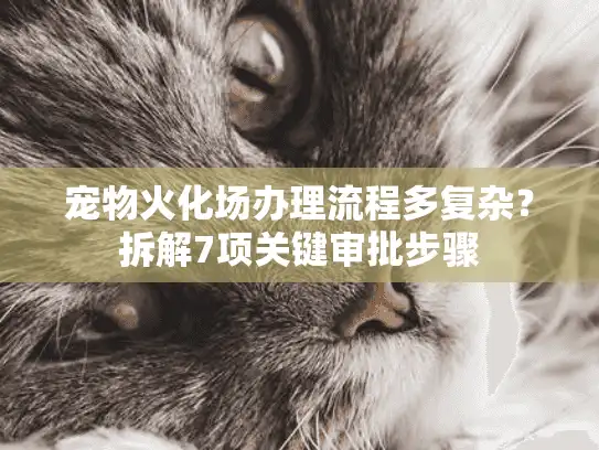 宠物火化场办理流程多复杂？拆解7项关键审批步骤