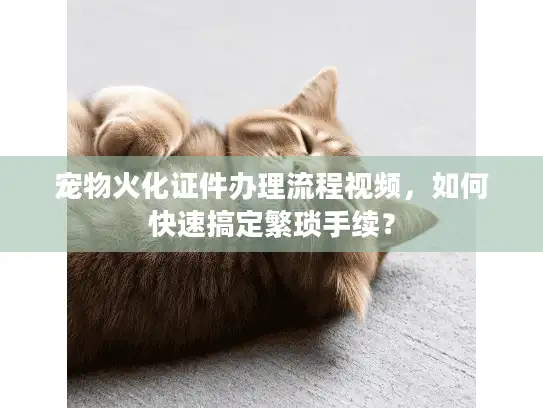 宠物火化证件办理流程视频,如何快速搞定繁琐手续? 宠物火化证件办理流程视频,如何快速搞定繁琐手续?