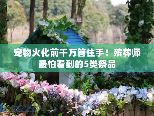 宠物火化前千万管住手！殡葬师最怕看到的5类祭品