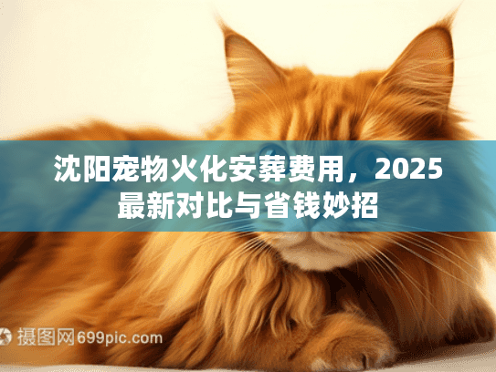 沈阳宠物火化安葬费用，2025最新对比与省钱妙招