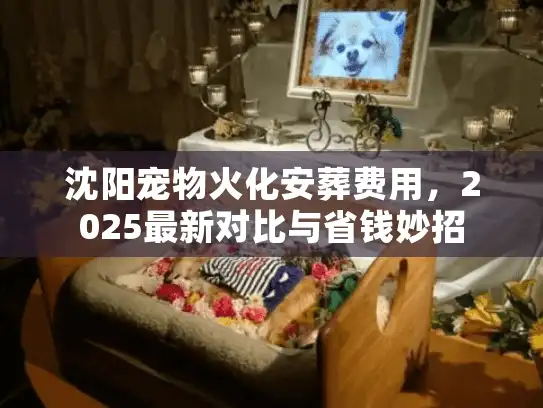 沈阳宠物火化安葬费用，2025最新对比与省钱妙招