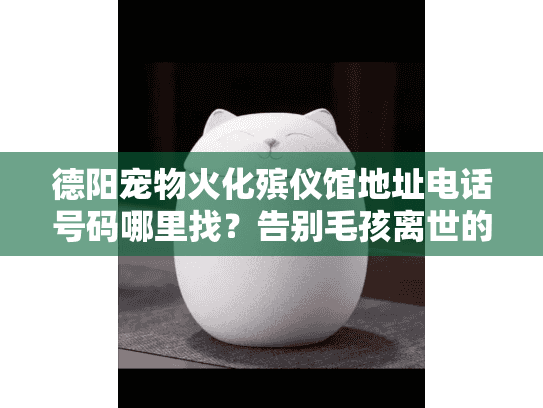 德阳宠物火化殡仪馆地址电话号码哪里找？告别毛孩离世的无助指南