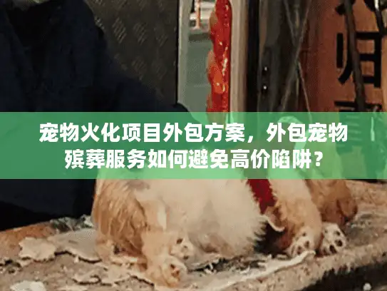 宠物火化项目外包方案，外包宠物殡葬服务如何避免高价陷阱？