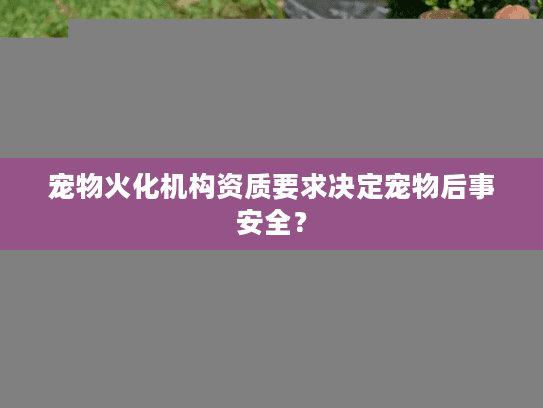 宠物火化机构资质要求决定宠物后事安全? 宠物火化机构资质要求决定宠物后事安全?