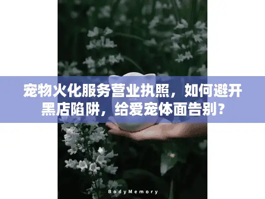 宠物火化服务营业执照，如何避开黑店陷阱，给爱宠体面告别？