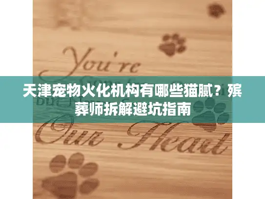 天津宠物火化机构有哪些猫腻?殡葬师拆解避坑指南 天津宠物火化机构有哪些猫腻?殡葬师拆解避坑指南