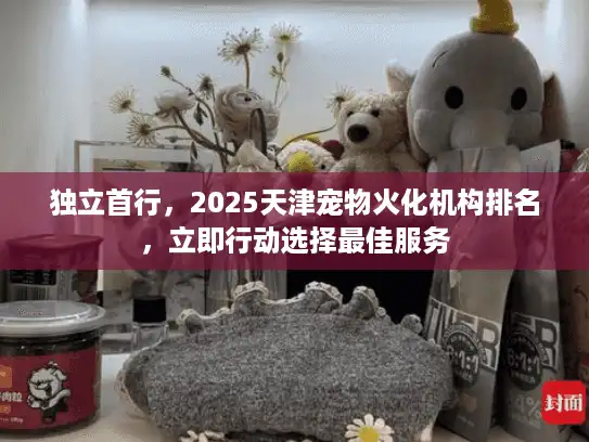 独立首行，2025天津宠物火化机构排名，立即行动选择最佳服务