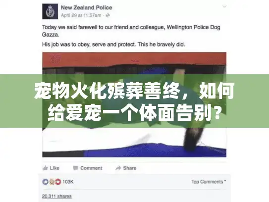 宠物火化殡葬善终,如何给爱宠一个体面告别? 宠物火化殡葬善终,如何给爱宠一个体面告别?