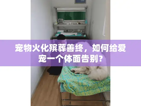 宠物火化殡葬善终,如何给爱宠一个体面告别? 宠物火化殡葬善终,如何给爱宠一个体面告别?